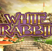 White Rabbit